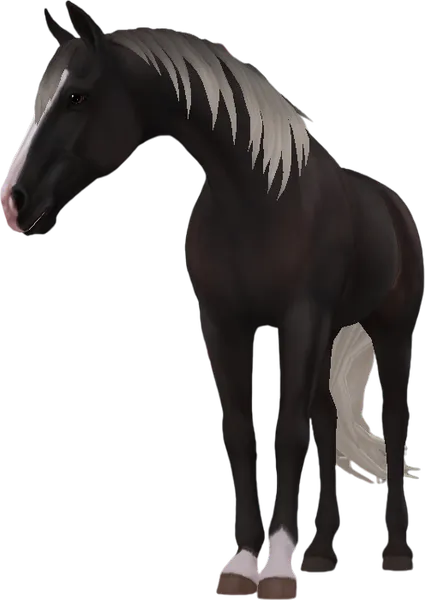 Tennessee Walking Horse, Silver Black