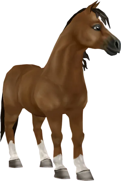 Jorvik Pony, Wild Bay