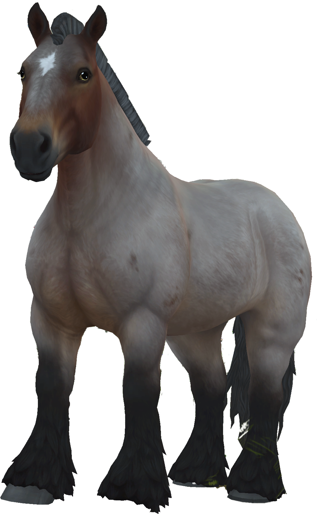 Brabant in Star Stable Online