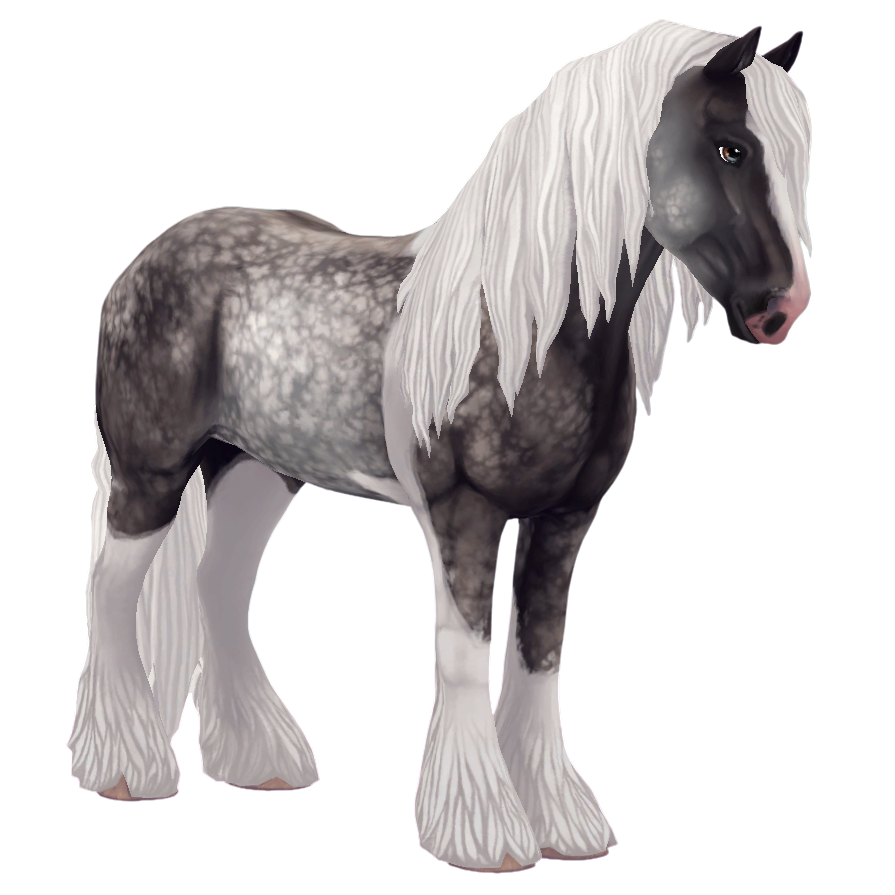 Irish Cob in Star Stable Online