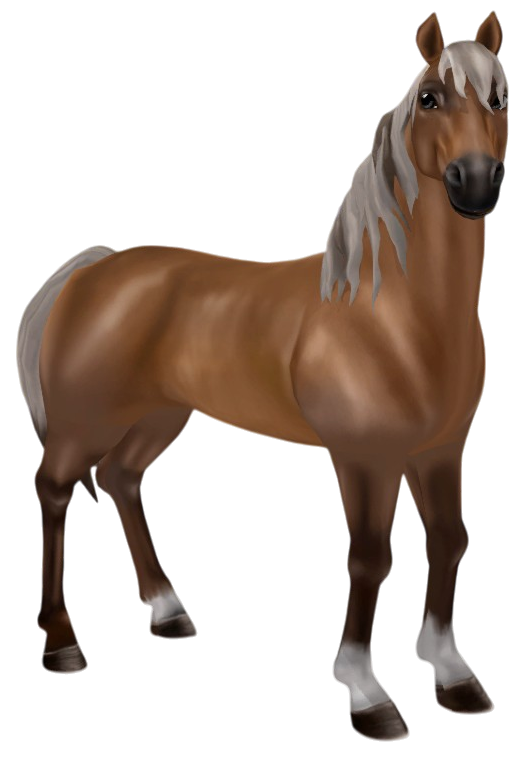 Morgan in Star Stable Online