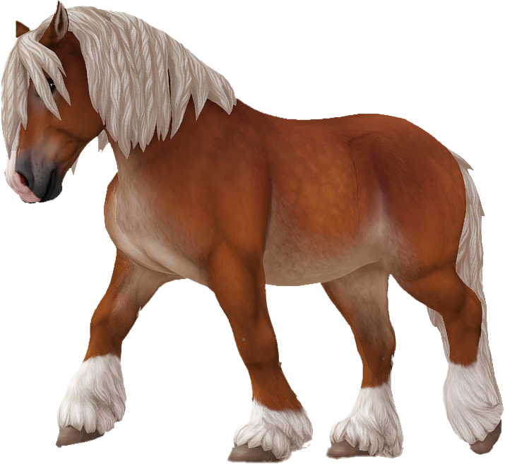Ardennes in Star Stable Online
