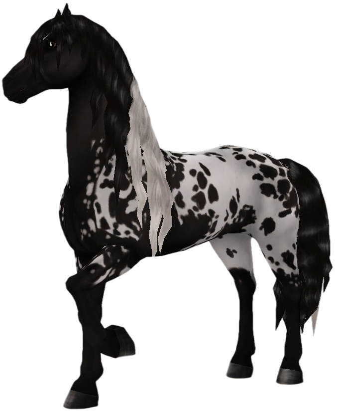 Friesian Sport Horse in Star Stable Online