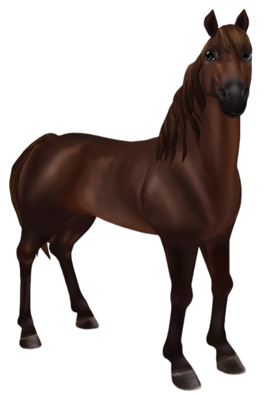 Morgan in Star Stable Online