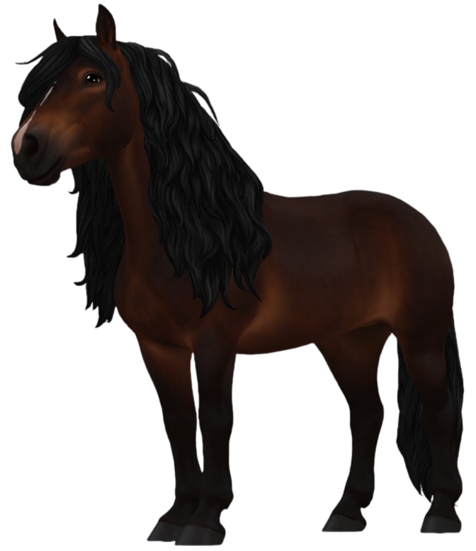 Black Forest Horse in Star Stable Online
