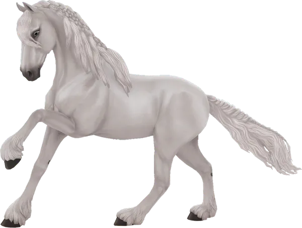 Friesian Sport Horse, Light Grey