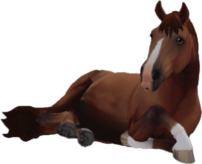 Finnhorse in Star Stable Online
