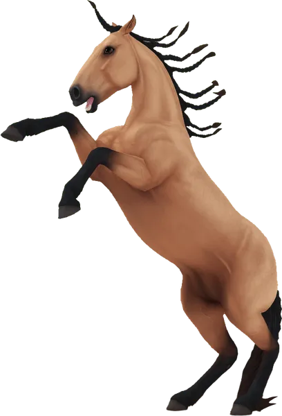 Mustang, Buckskin