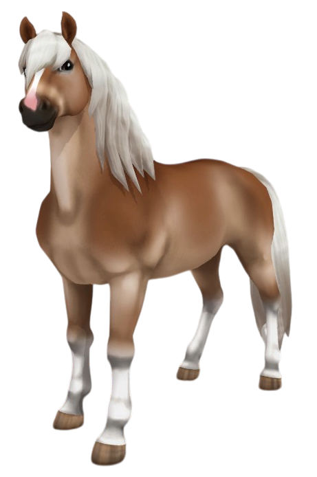 Haflinger in Star Stable Online