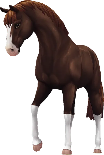 Jorvik Warmblood, Liver Chestnut