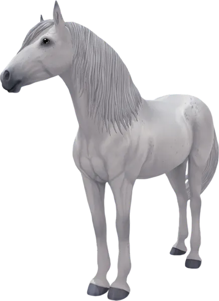 Paso Fino, Fleabitten Grey