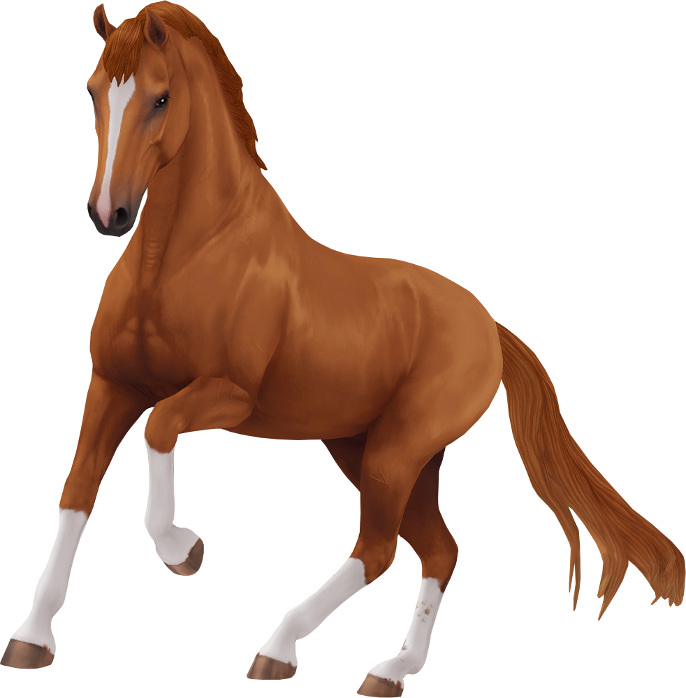 Dutch Warmblood in Star Stable Online