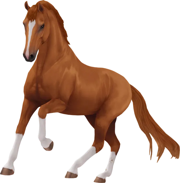 Dutch Warmblood, Chestnut