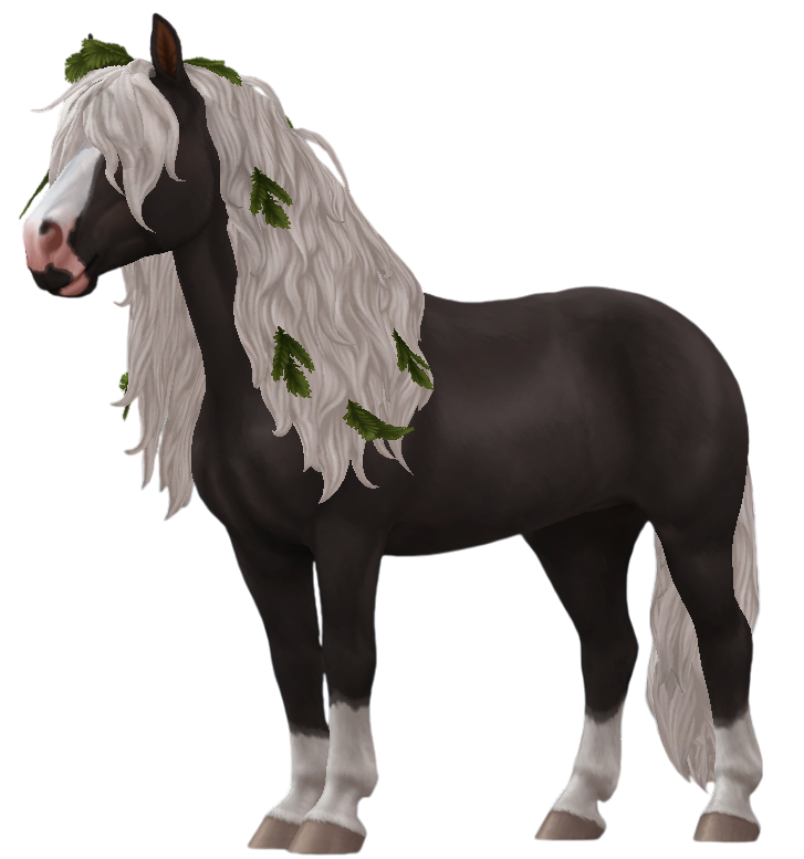 Black Forest Horse in Star Stable Online