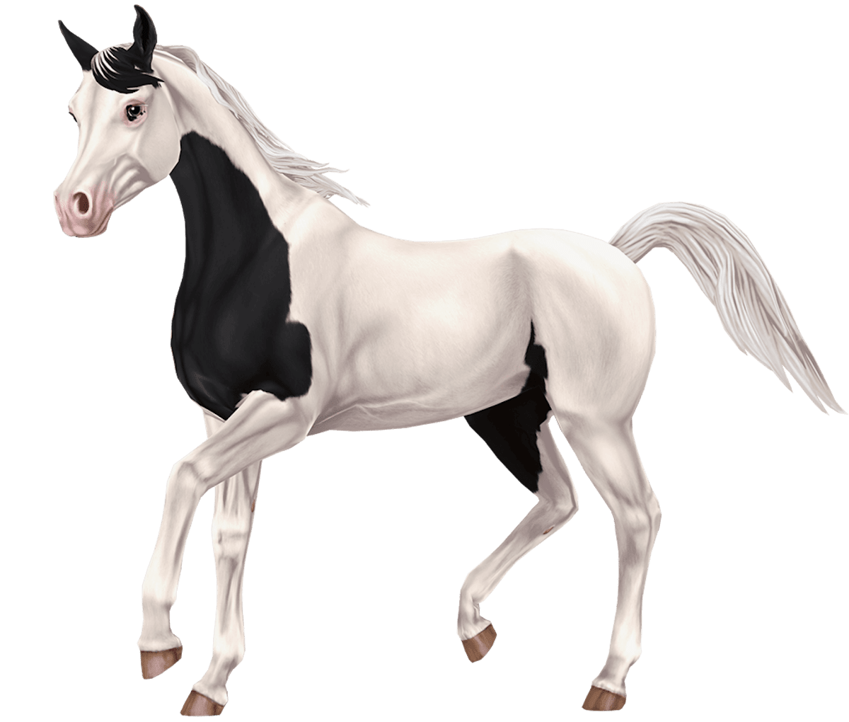 Pintabian in Star Stable Online