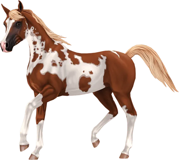 Pintabian, Flaxen Chestnut Tovero