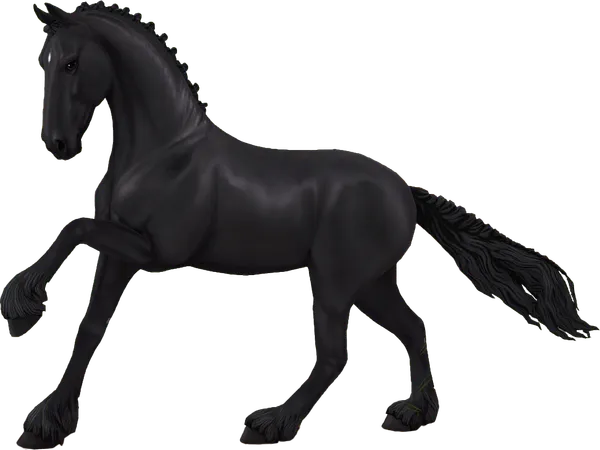 Friesian, Black Star