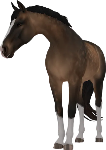 Tennessee Walking Horse, Sooty Buckskin