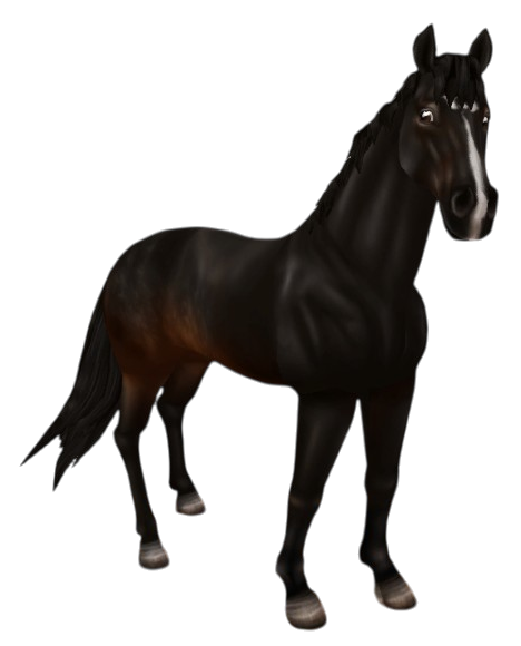 English Thoroughbred in Star Stable Online