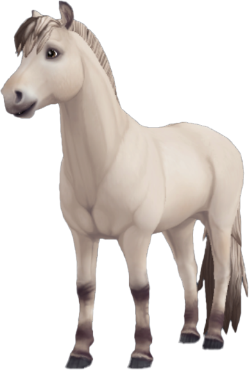 Fjord in Star Stable Online
