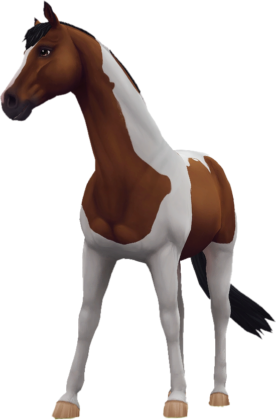 Trakehner in Star Stable Online