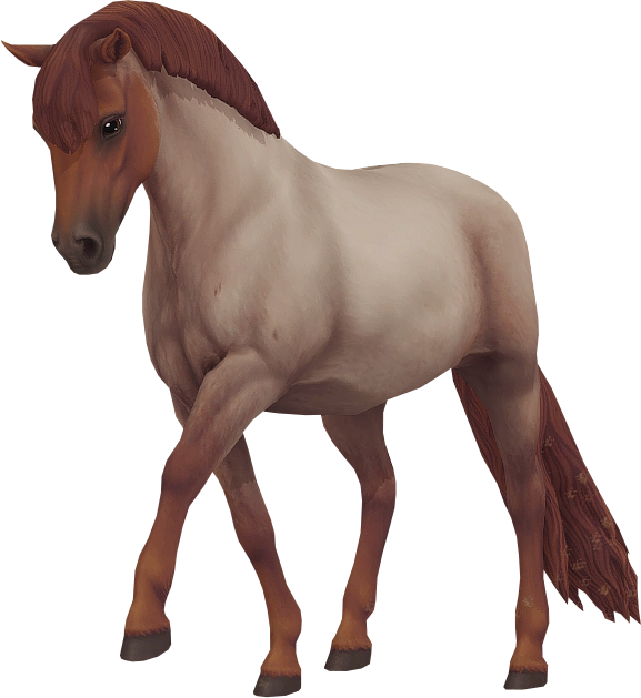 Dartmoor in Star Stable Online