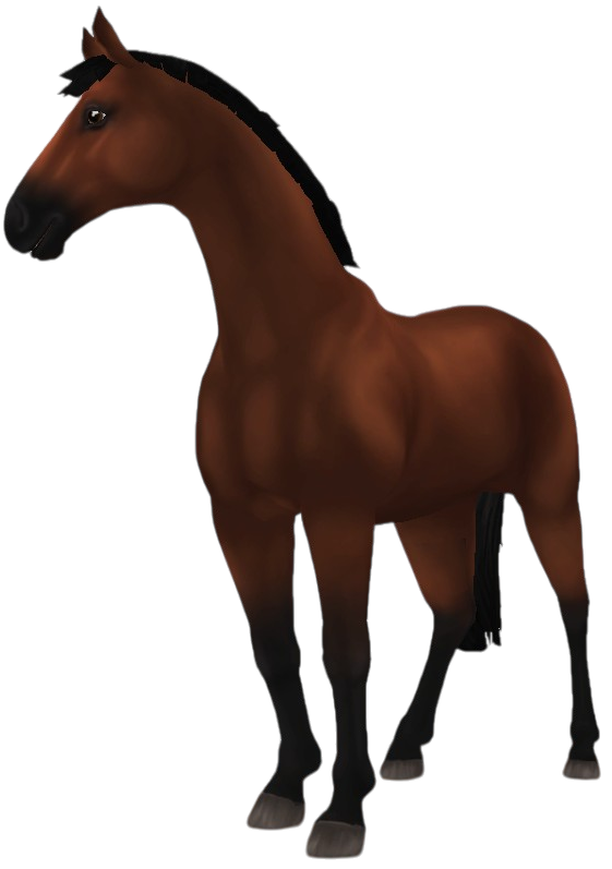 Hanoverian in Star Stable Online