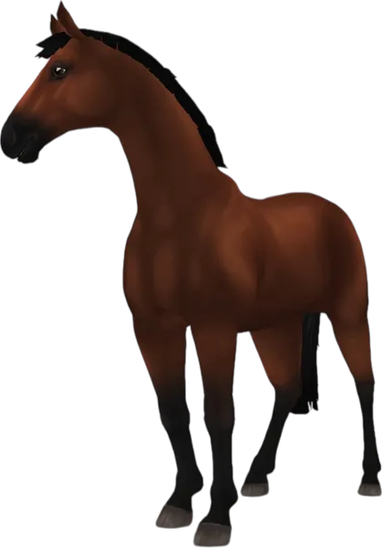 Hanoverian, Bay