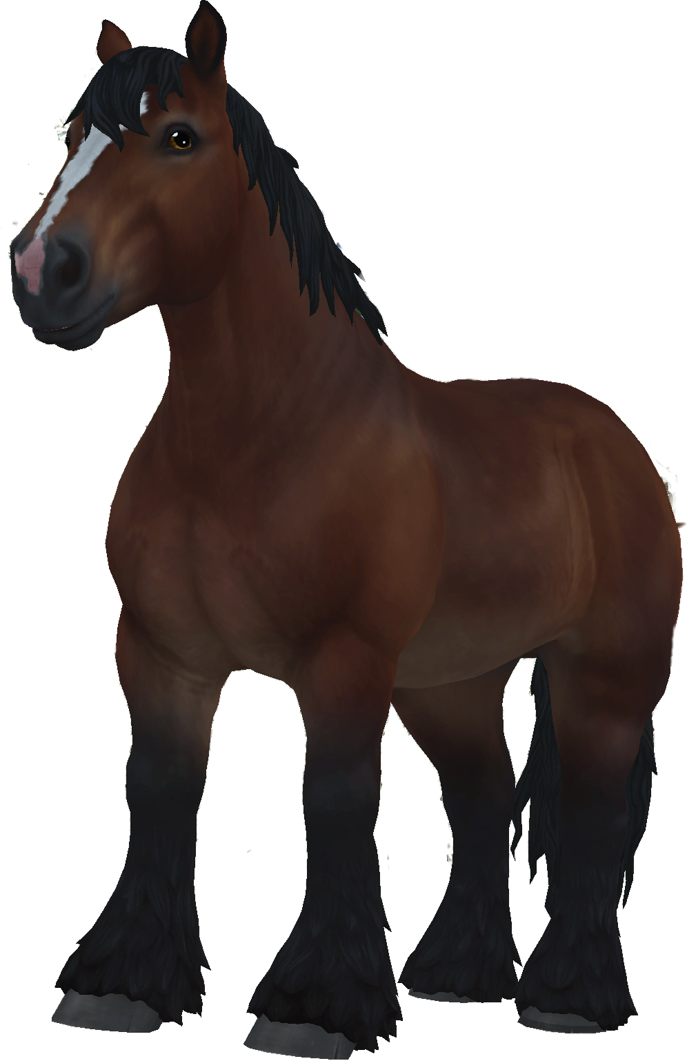 Brabant in Star Stable Online