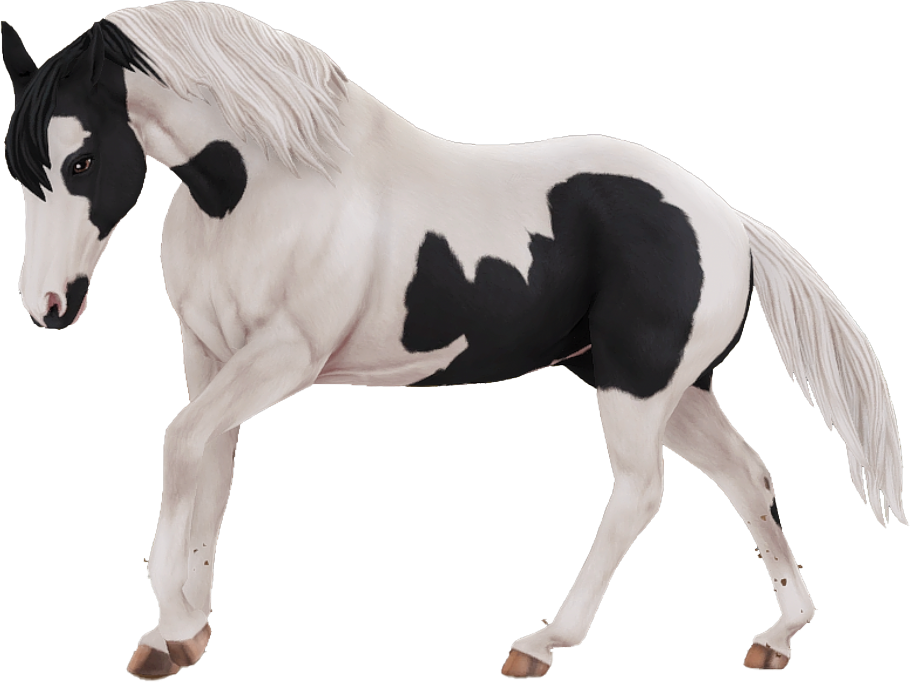 American Paint Horse in Star Stable Online