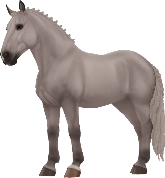 Noriker, Grey
