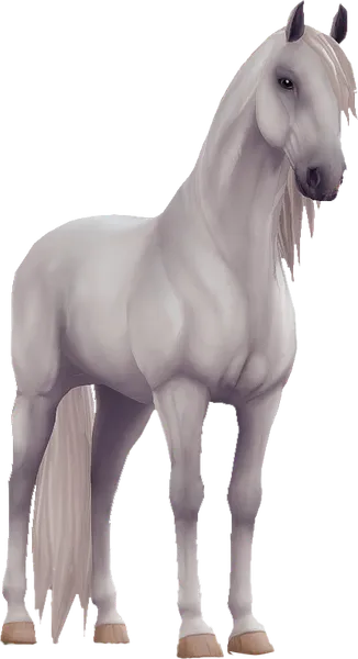 Lusitano, Light Grey