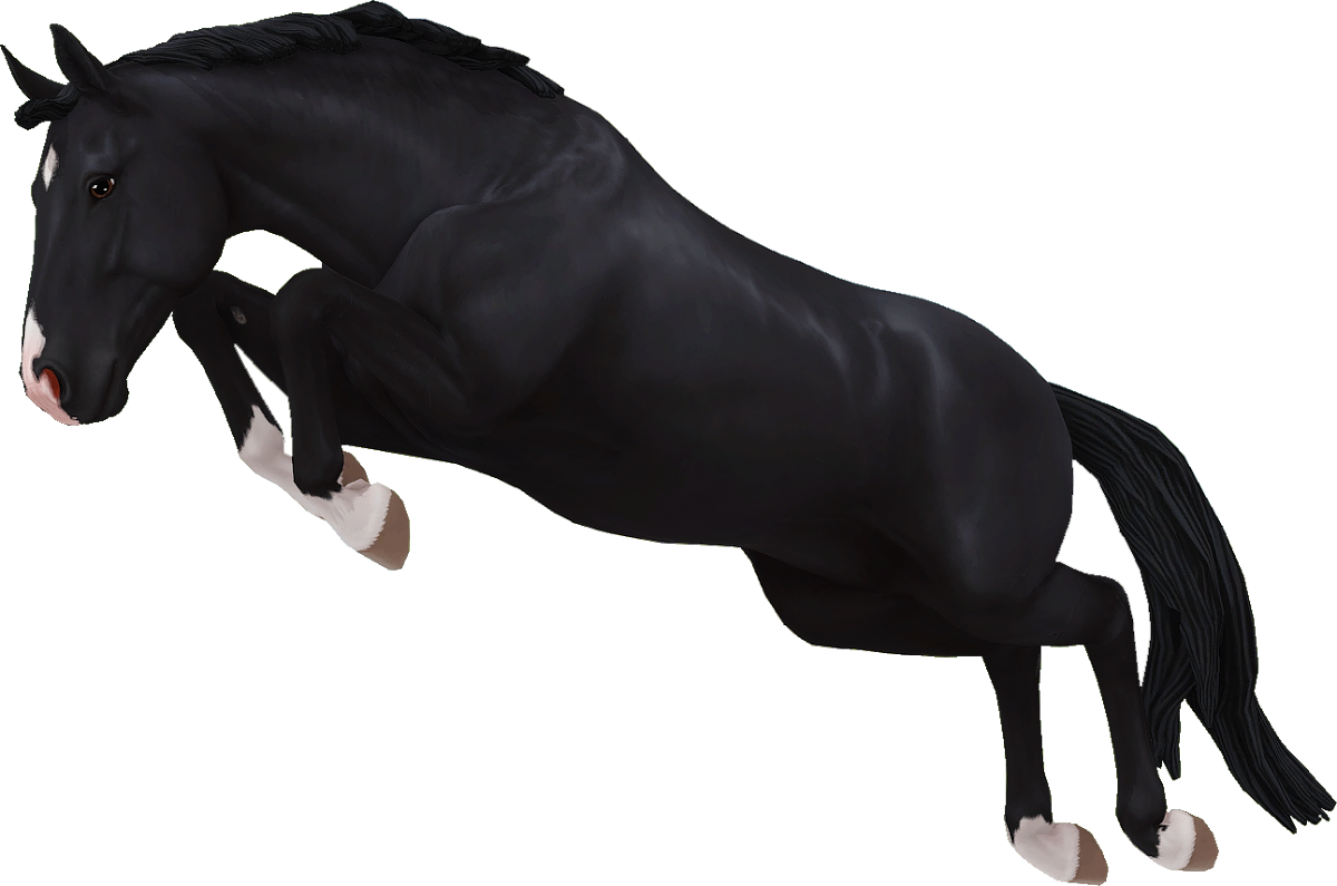 Hanoverian in Star Stable Online