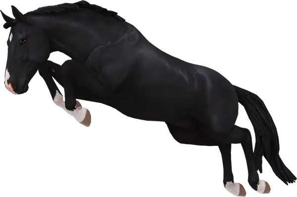 Hanoverian, Black