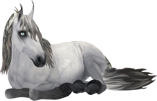 Jorvik Wild Horse, Grey