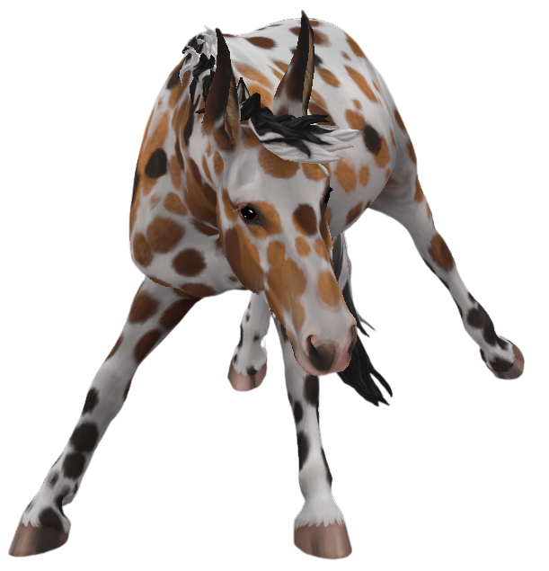 Mule in Star Stable Online