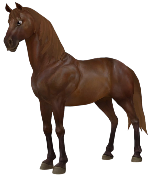 Morgan in Star Stable Online
