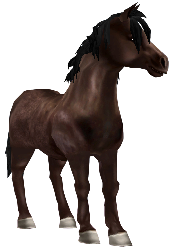 Jorvik Pony in Star Stable Online