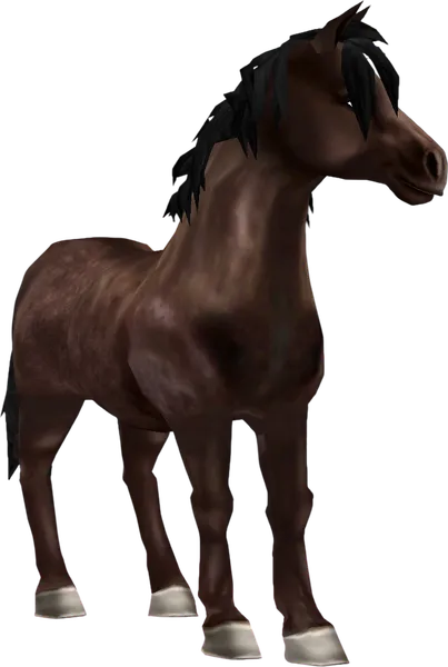 Jorvik Pony, Dapple Dark Brown