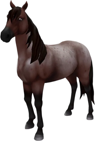 Mustang, Bay Roan