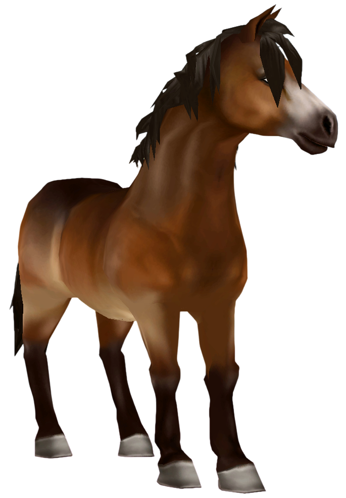 Jorvik Pony in Star Stable Online