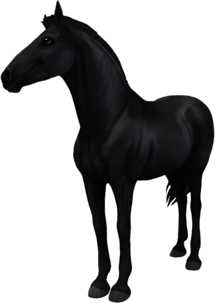 Paso Fino, Black