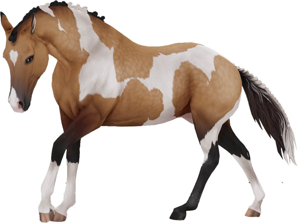 American Paint Horse in Star Stable Online
