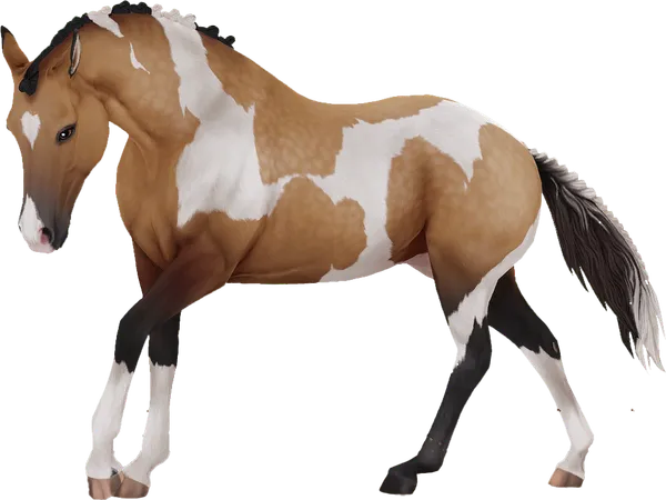 American Paint Horse, Dappled Buckskin Tobiano