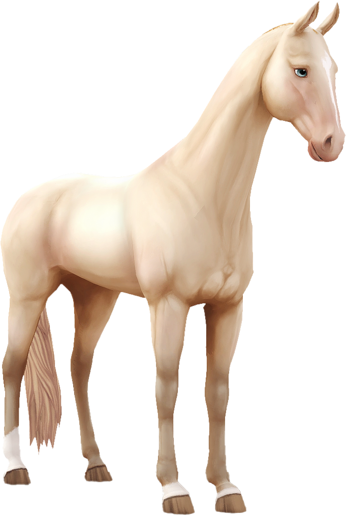 Akhal Teke in Star Stable Online