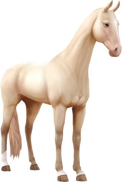Akhal Teke, Perlino