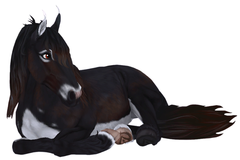 Jorvik Wild Horse in Star Stable Online