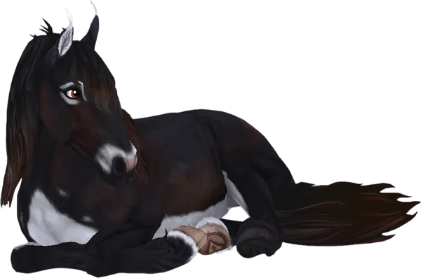 Jorvik Wild Horse, Mantle Ember Black