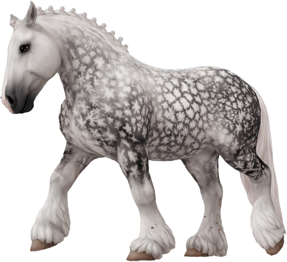 Ardennes in Star Stable Online