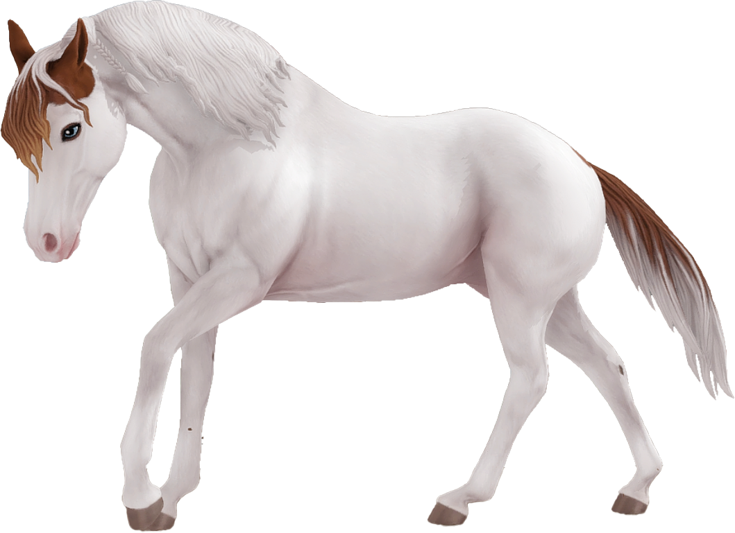 American Paint Horse in Star Stable Online